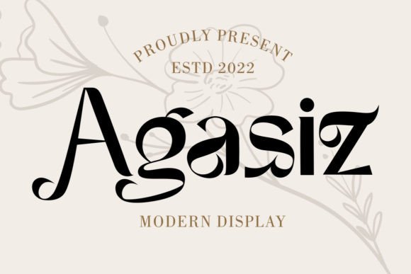 Agasiz Modern Display Font for Editorial Design
